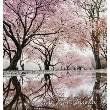 In Loving Memory Funeral Guest Book, Celebration of Life, Wake, Loss, Memorial Service, Love, Condolence Book, Funeral Home, Missing You, Church, Thoughts and In Memory Guest Book (Hardback)