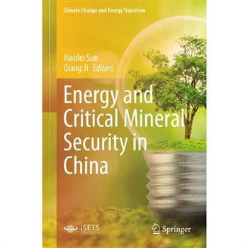 Energy and Critical Mineral Security in China