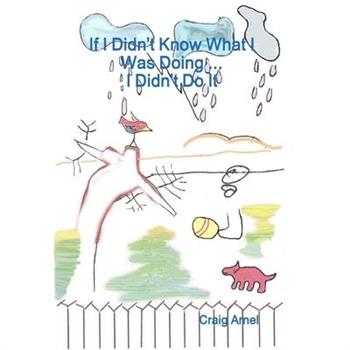 If I Didn’t Know What I Was Doing ... I Didn’t Do It