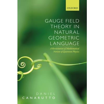 Gauge Field Theory Without Groups