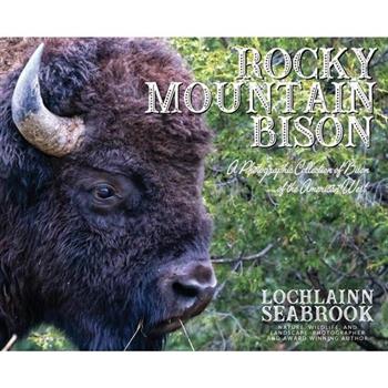 Rocky Mountain Bison
