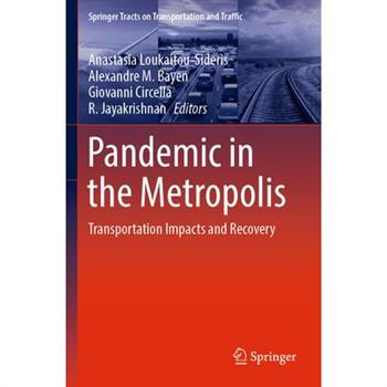 Pandemic in the Metropolis