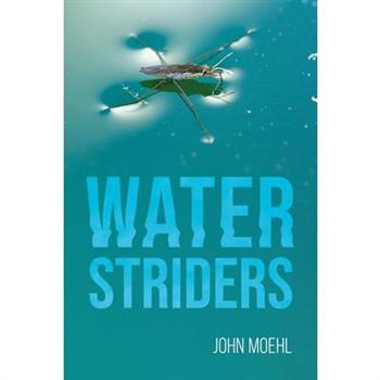 Water Striders