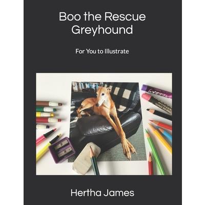 Boo the Rescue Greyhound