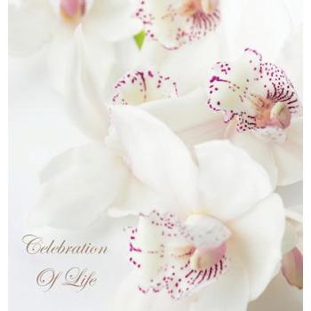 Celebration of Life, In Loving Memory Funeral Guest Book, Wake, Loss, Memorial Service, Love, Condolence Book, Funeral Home, Missing You, Church, Thoughts and In Memory Guest Book (Hardback)