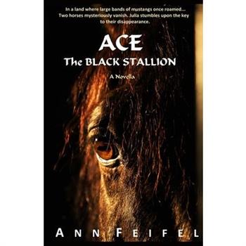 Ace, The Black Stallion