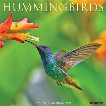 Hummingbirds 2026 12 X 12 Wall Calendar