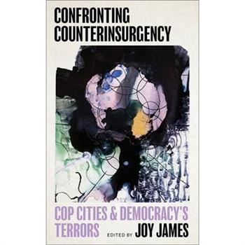 Confronting Counterinsurgency