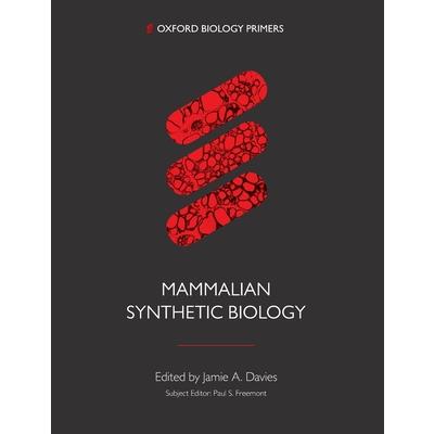 Synthetic Biology in Mammals