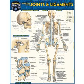 Anatomy of Joints & Ligaments