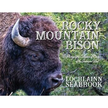 Rocky Mountain Bison