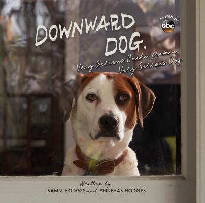 Downward Dog, My Dreams & Fears