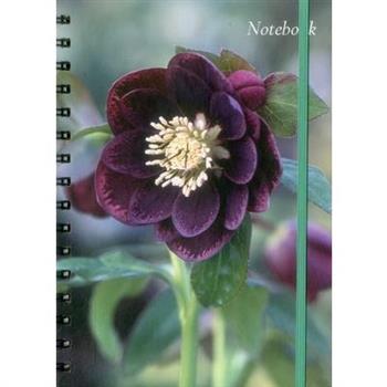 Notebook (Hellebore)