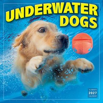 Underwater Dogs