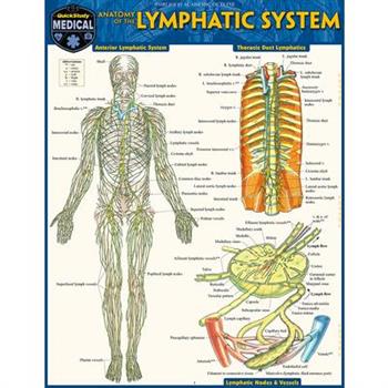 Anatomy of the Lymphatic System