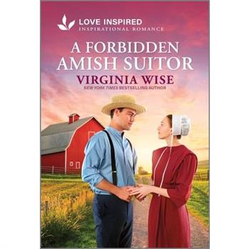 A Forbidden Amish Suitor