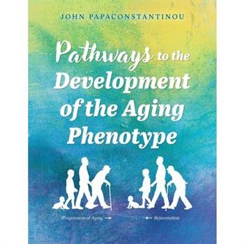 Pathways to the Development of the Aging Phenotype