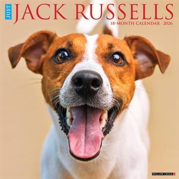 Jack Russells 2026 12 X 12 Wall Calendar