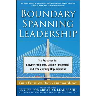 Boundary Spanning Leadership (Pb)