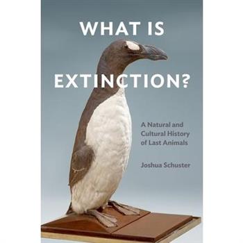 What Is Extinction?