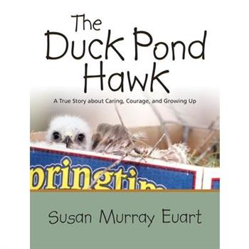 The Duck Pond Hawk