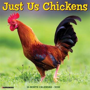 Just Us Chickens 2026 12 X 12 Wall Calendar