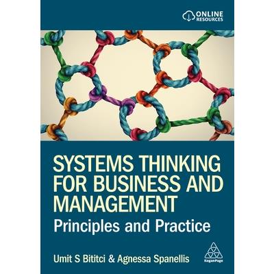 Systems Thinking for Business and Management