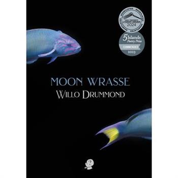 Moon Wrasse