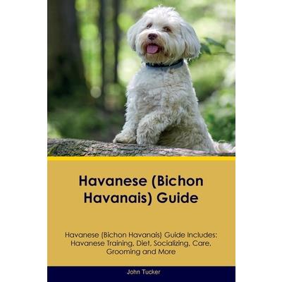 Havanese (Bichon Havanais) Guide Havanese Guide Includes