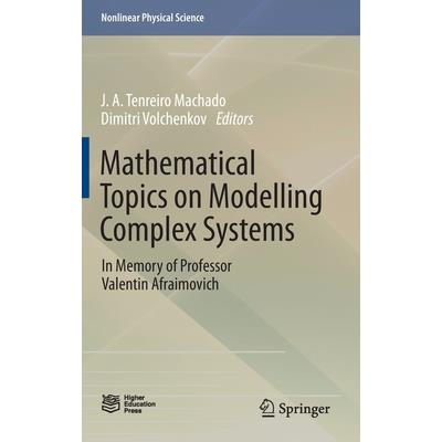 Mathematical Topics on Modelling Complex Systems