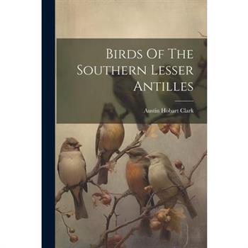Birds Of The Southern Lesser Antilles