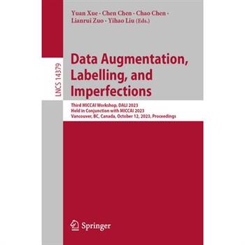 Data Augmentation, Labelling, and Imperfections