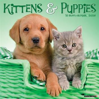 Kittens & Puppies 2026 12 X 12 Wall Calendar