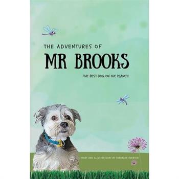 The Adventures of Mr Brooks