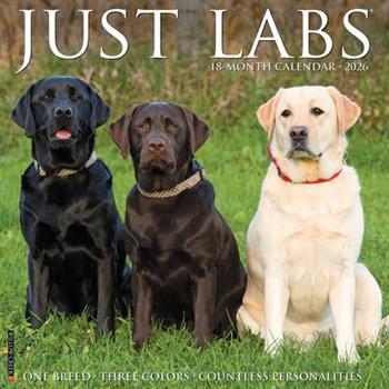 Labs 2026 12 X 12 Wall Calendar