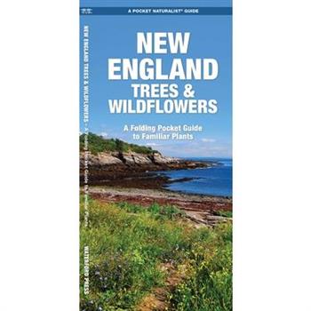 New England Trees & Wildflowers