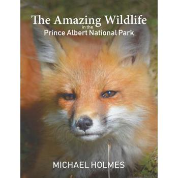 The Amazing Wildlife in the Prince Albert National Park