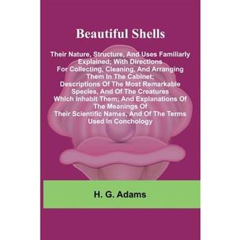 Beautiful Shells