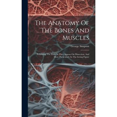 The Anatomy Of The Bones And Muscles