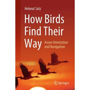 How Birds Find Their Way