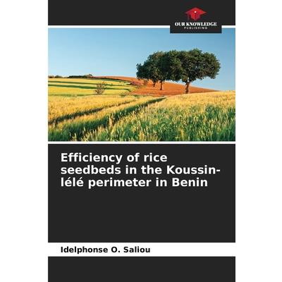 Efficiency of rice seedbeds in the Koussin-l矇l矇 perimeter in Benin
