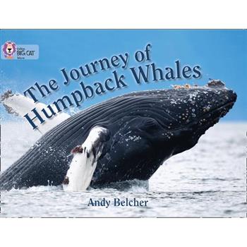 The Journey of Humpback Whales
