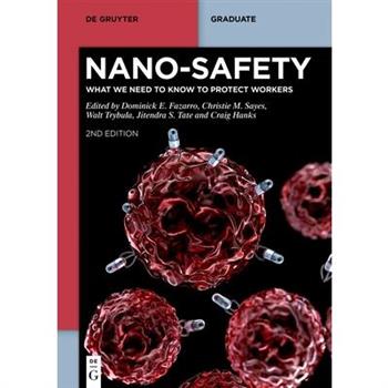 Nano-Safety
