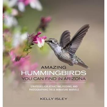 Amazing Hummingbirds You Can Find in Arizona