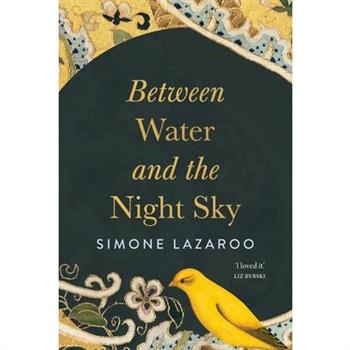 Between Water and the Night Sky