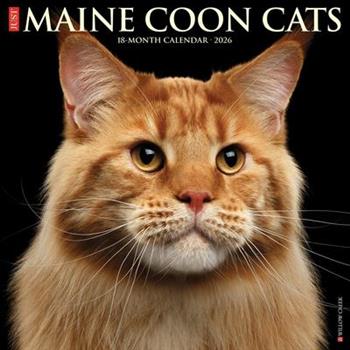 Maine Coon Cats 2026 12 X 12 Wall Calendar