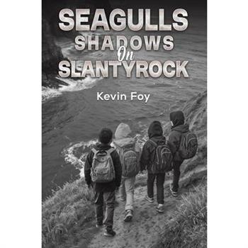 Seagulls Shadows on Slantyrock