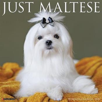 Maltese 2026 12 X 12 Wall Calendar