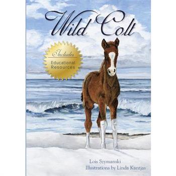 Wild Colt