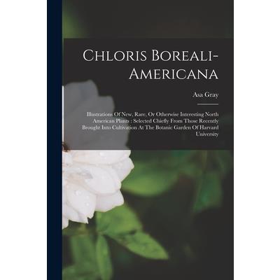 Chloris Boreali-americana